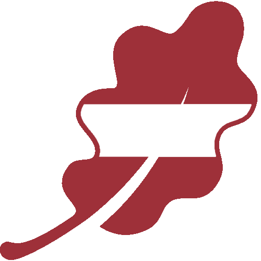 Ikona