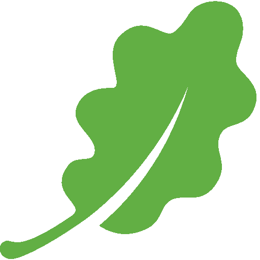 Ikona